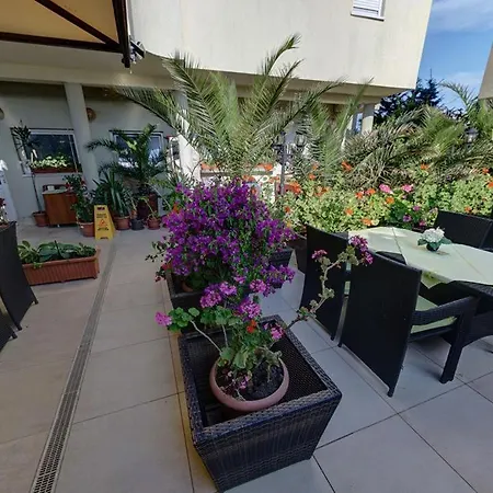 Family Gogov Отель