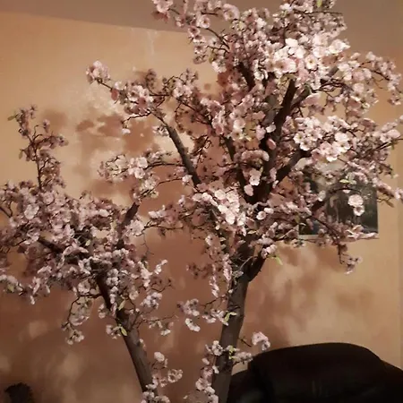 Family Gogov Отель Синеморец