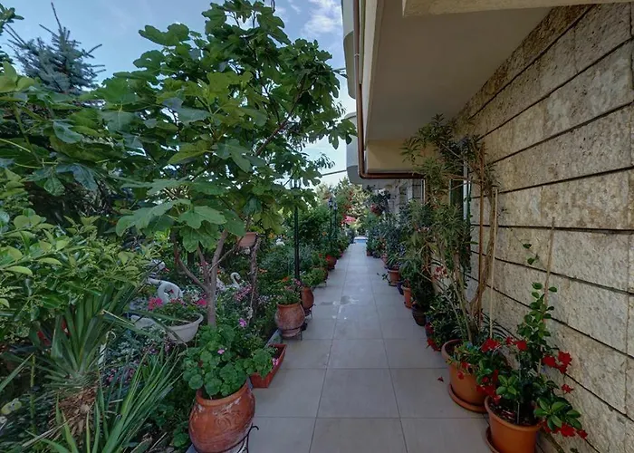 Family Gogov Ξενοδοχείο Sinemoretz