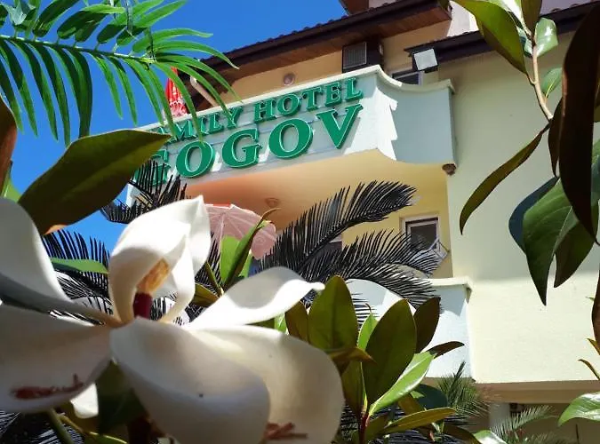 Family Gogov Sinemoretz