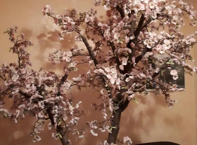 Family Gogov Szálloda Szinemorec